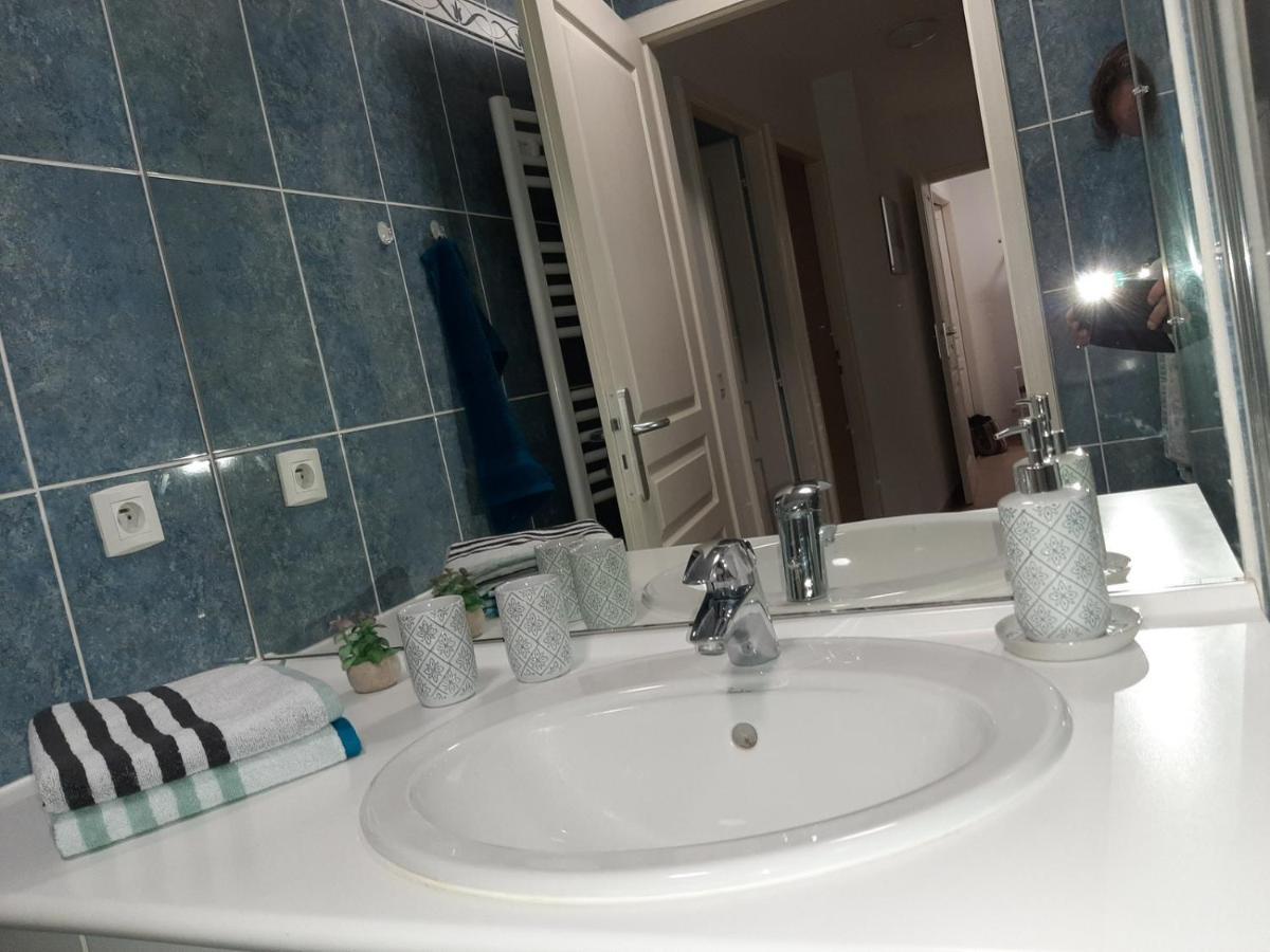 Apartment La Houblonniere Standing Et Confort A Colmar
